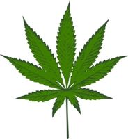 West Coast Cannabis Medical Marijuana Dispensary coupons